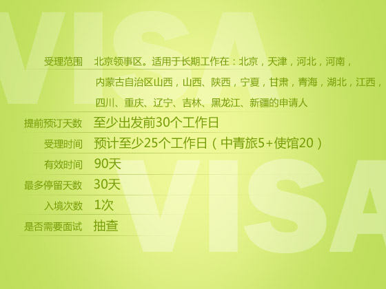 巴西商务签证(自备邀请函)