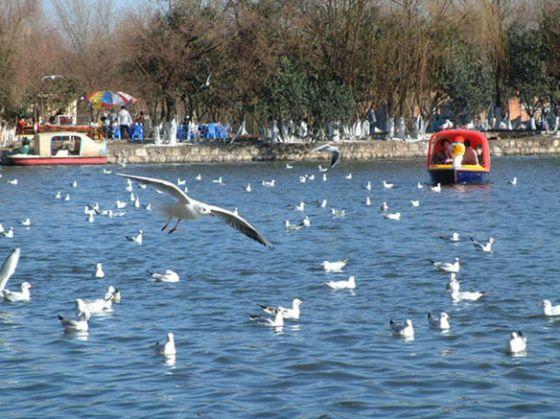 【昆明旅游景点】云南昆明旅游景点大全_最新