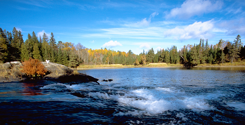 北京出发 加拿大西海岸原始森林观熊13日游【
