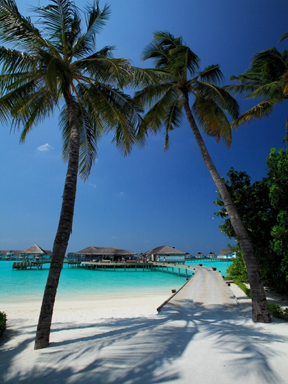 上海出发 马尔代夫 白金岛4晚6天百变自由行【