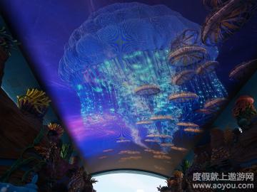 广州出发 珠海长隆海洋王国直通车1天